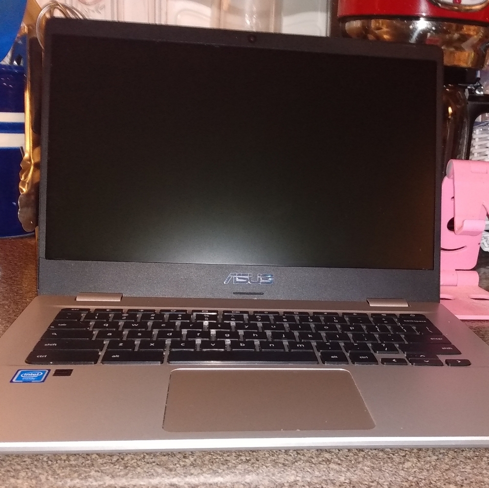 COPY - ASUS Chromebook C423 14.0" 180 Degree HD NanoEdge Display, Intel Dual Co…